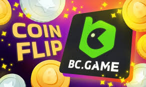 Tout Savoir sur l'Application BC App FR