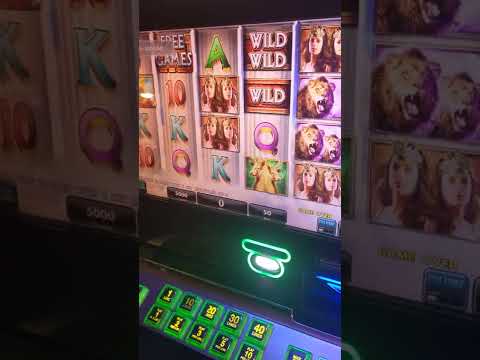 pinco casino online pinco casino online